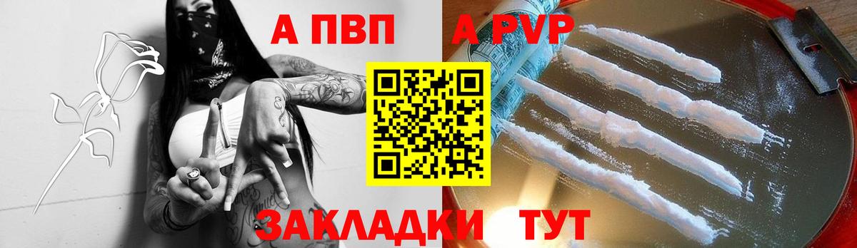 Альфа ПВП СК Гусев