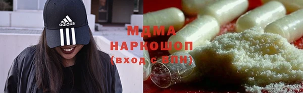 молекула духа Вяземский