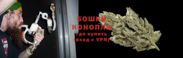 прущие крисы Белокуриха