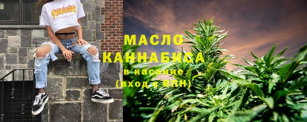 mix Бородино