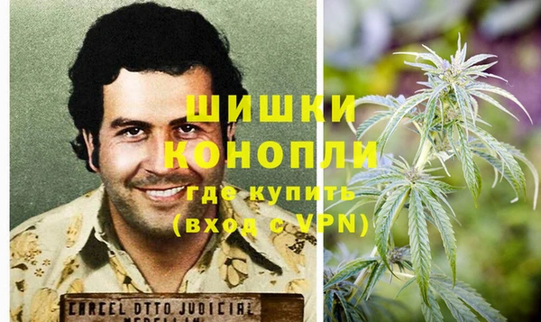 крисы Белоозёрский