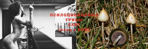 гидропоника Бугульма