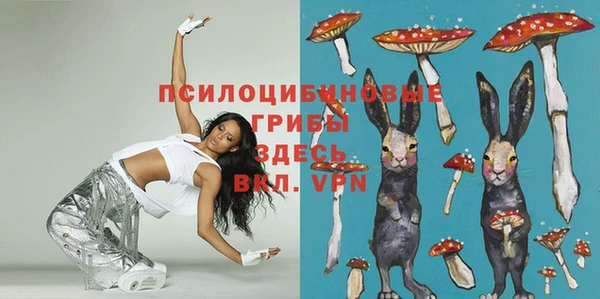 стафф Вязники