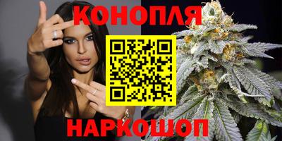 мяу мяу мука Лесосибирск