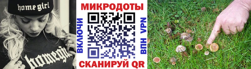 купить наркотики цена  Гусев  Галлюциногенные грибы MAGIC MUSHROOMS 