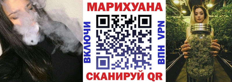 как найти наркотики  Гусев  Конопля ГИДРОПОН 